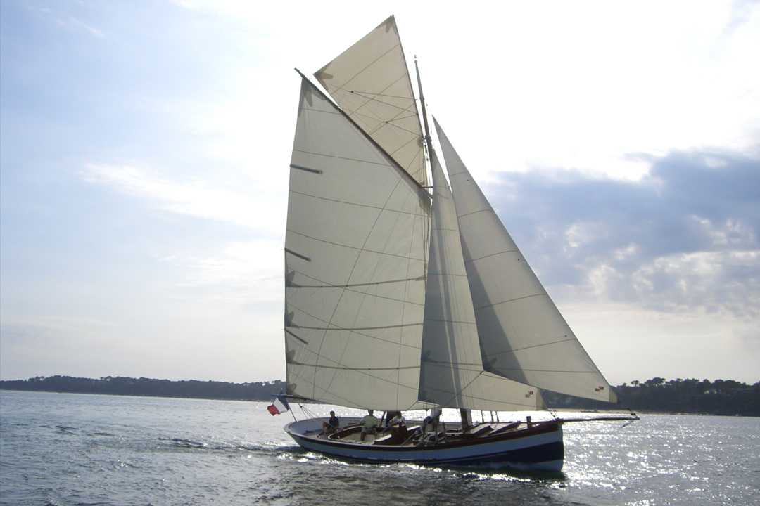 Promenades en bateau
