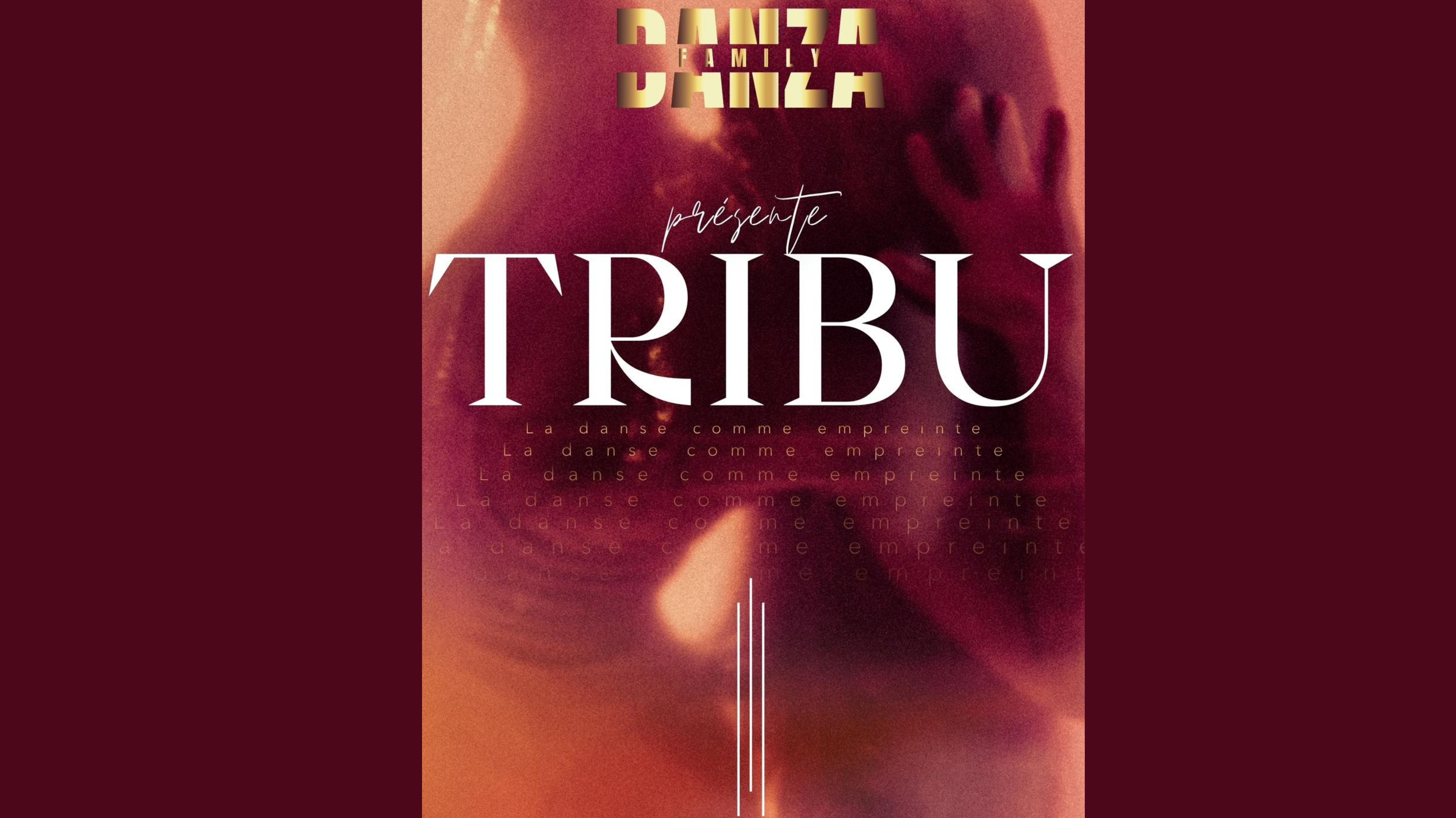 Spectacle de danse – Danza "Tribu"